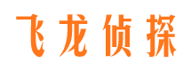 阳新侦探